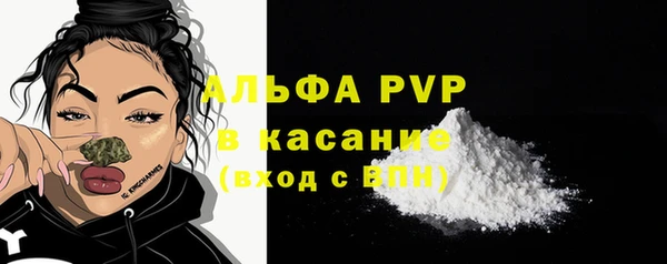прущий лед Абаза