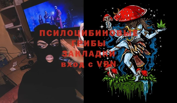 амф Абинск