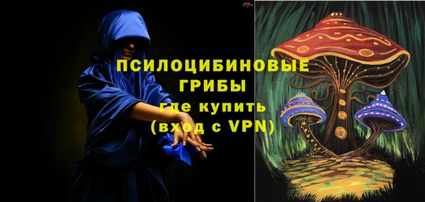 амф Абинск