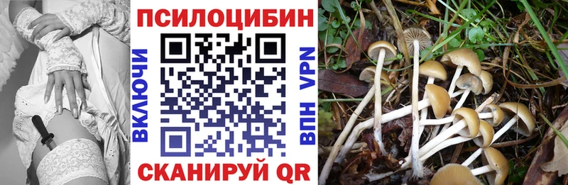 как найти наркотики  Райчихинск  Галлюциногенные грибы ЛСД 